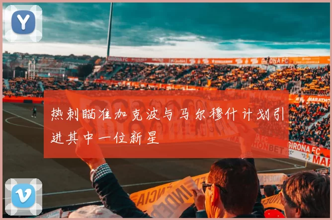 热刺瞄准加克波与马尔穆什计划引进其中一位新星