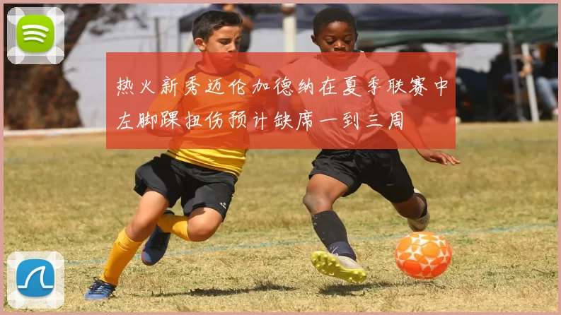 热火新秀迈伦加德纳在夏季联赛中左脚踝扭伤预计缺席一到三周